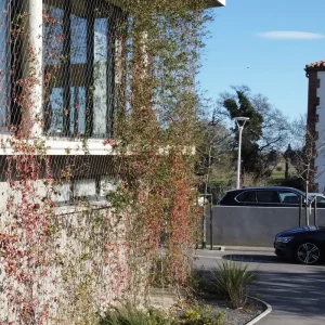 Façade de bâtiment moderne végétalisée avec treillis et plantes grimpantes, illustrant un Bâtiment à Énergie Positive (BEPOS)