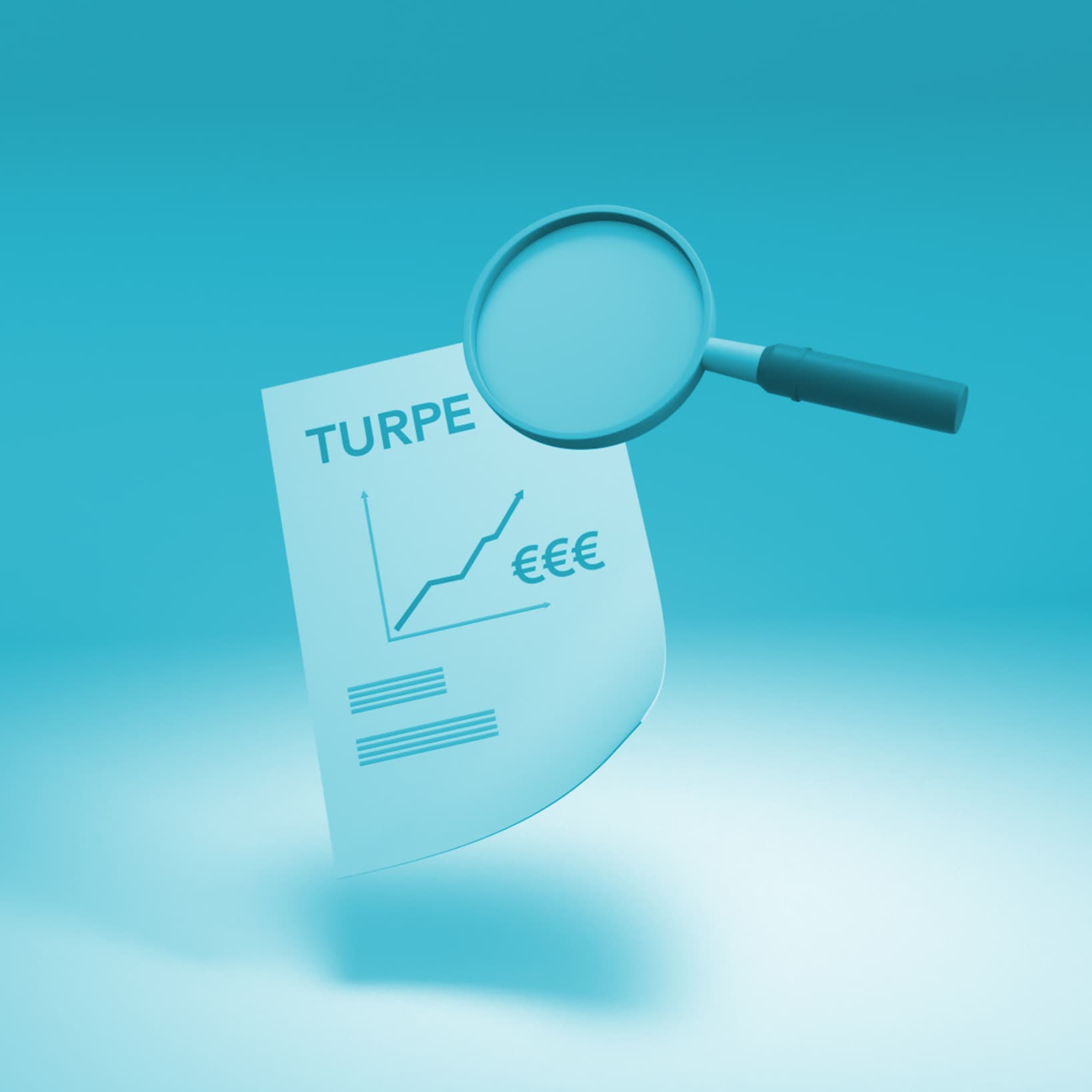 Turpe TURPE – Explication, montant et évolution 2021 - Fhe France